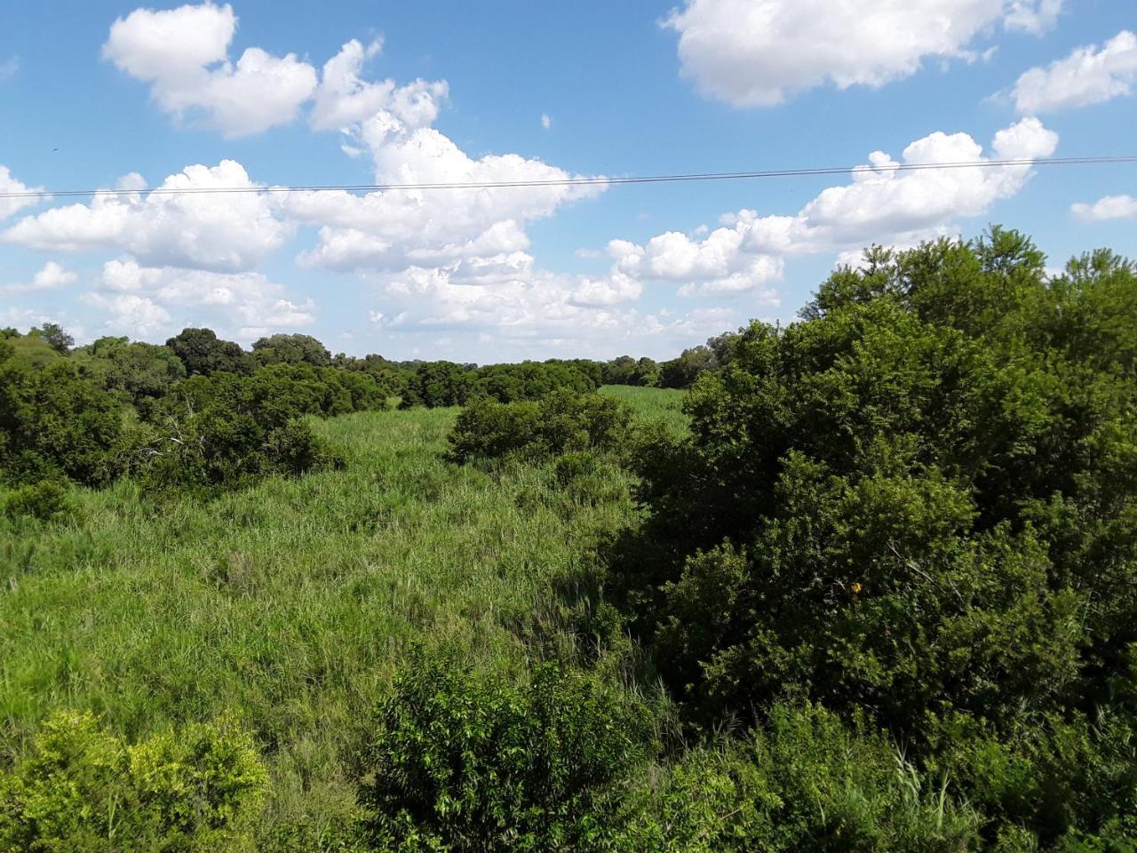 Bush Pub & Inn Hoedspruit Dış mekan fotoğraf