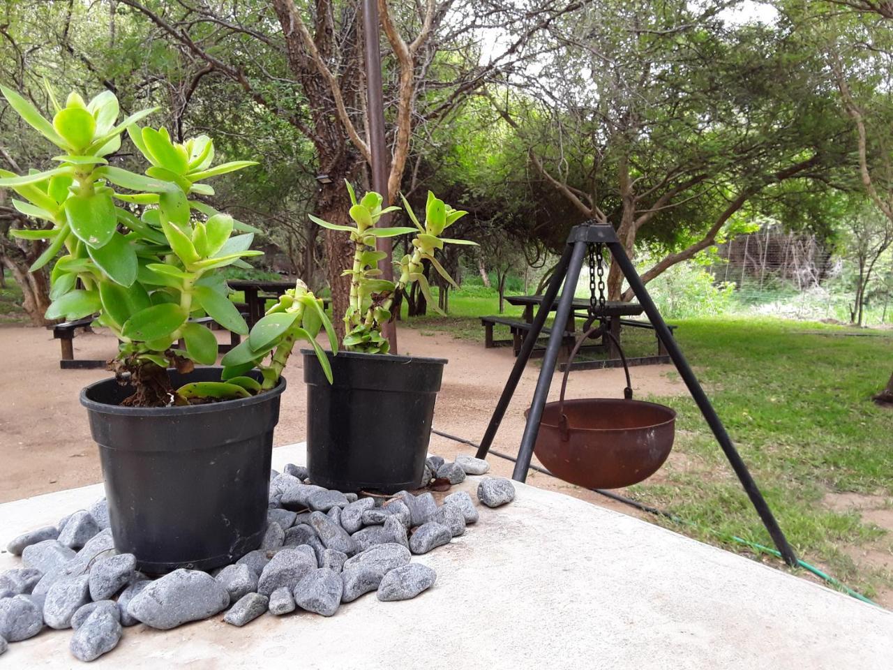 Bush Pub & Inn Hoedspruit Dış mekan fotoğraf