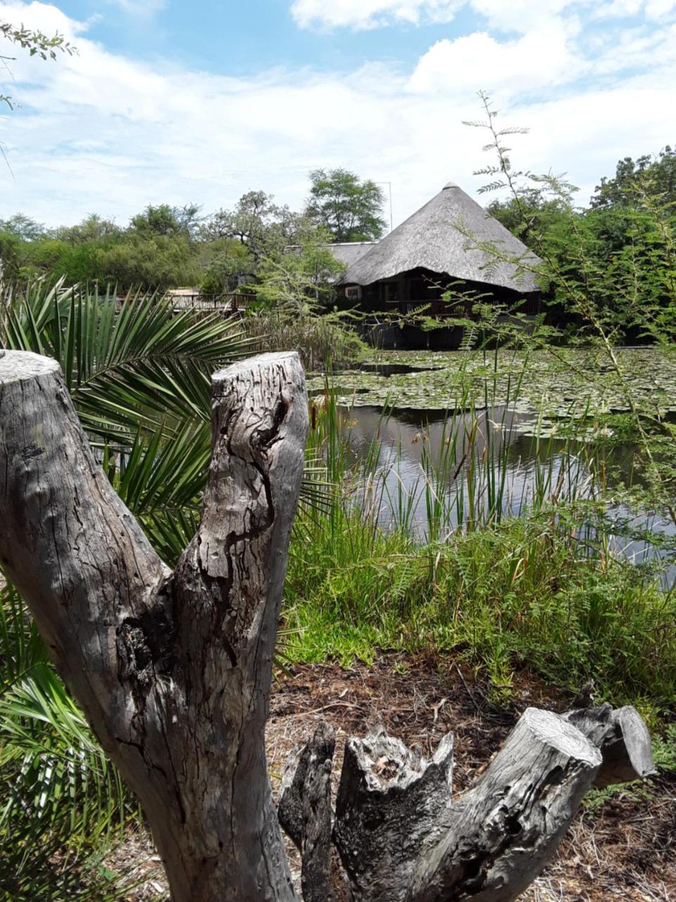 Bush Pub & Inn Hoedspruit Dış mekan fotoğraf
