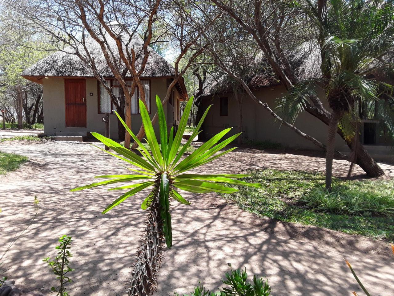 Bush Pub & Inn Hoedspruit Dış mekan fotoğraf