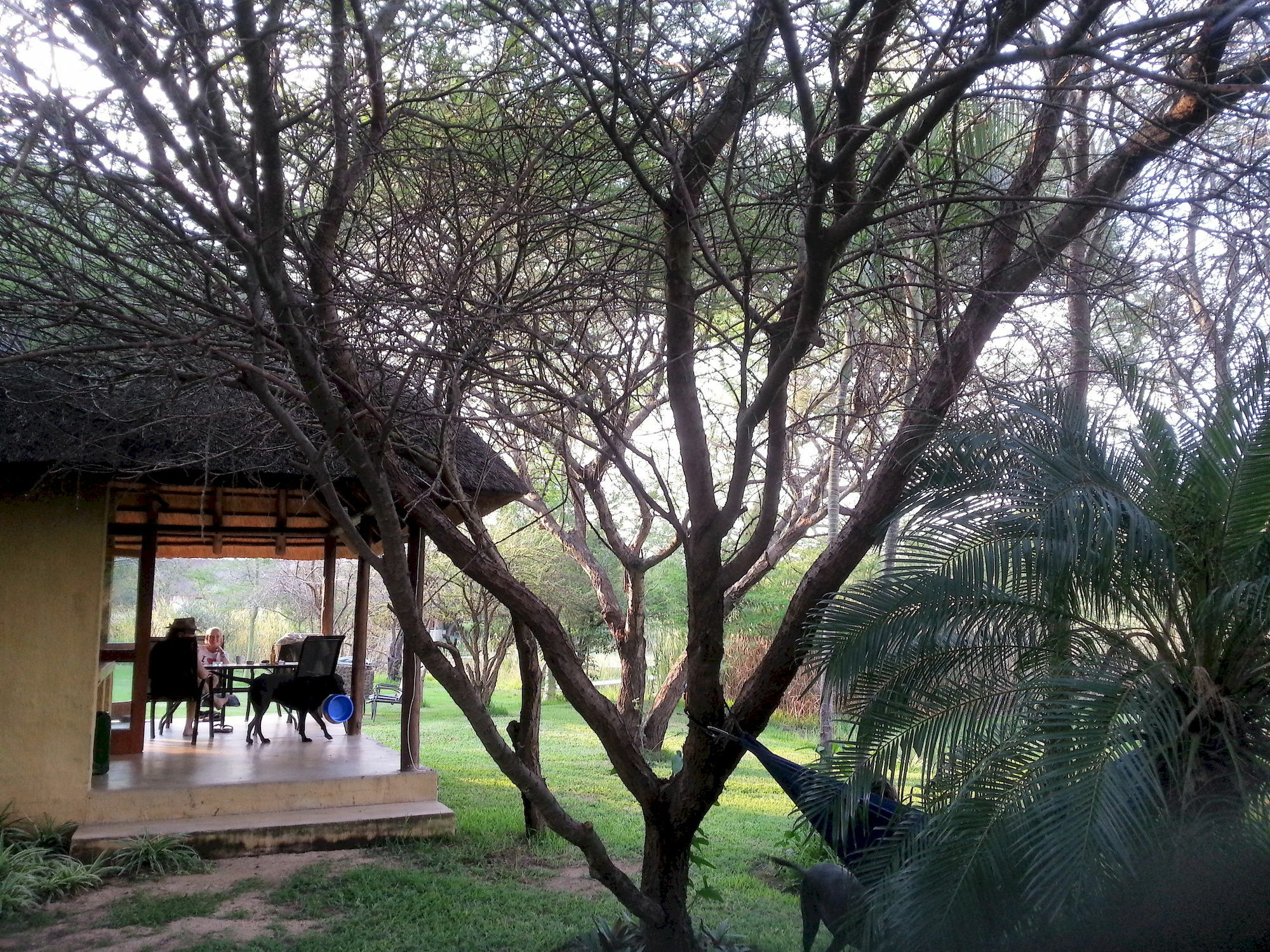 Bush Pub & Inn Hoedspruit Dış mekan fotoğraf