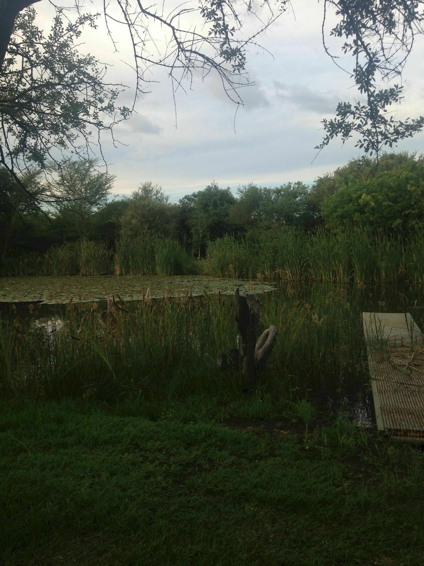 Bush Pub & Inn Hoedspruit Dış mekan fotoğraf